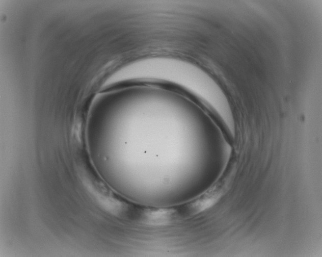 X0000081490072200701262104