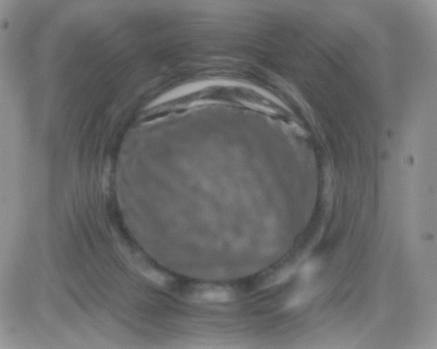 X0000081490073200701262104