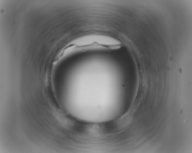 X0000081490074200701262104