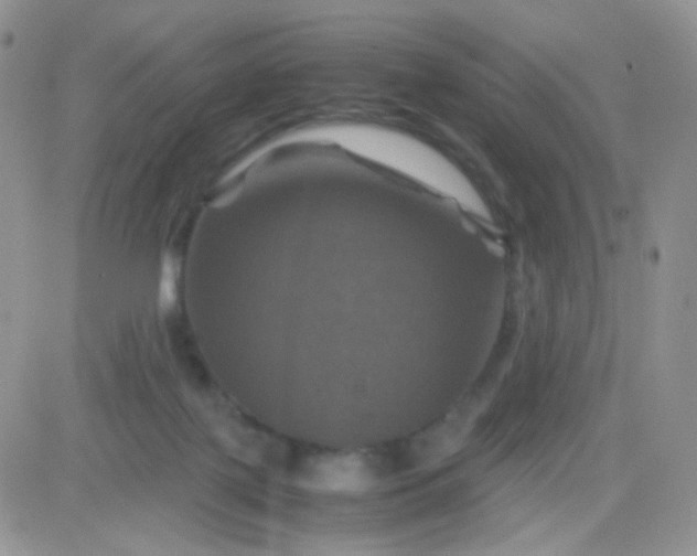 X0000081490075200701262104