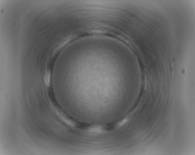 X0000081490076200701262104