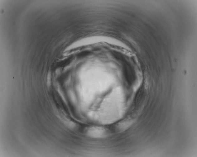 X0000081490077200701262104