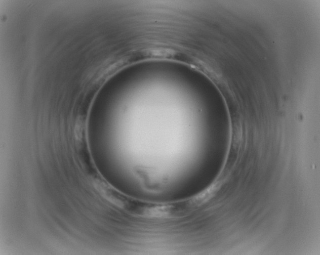 X0000081490078200701262104