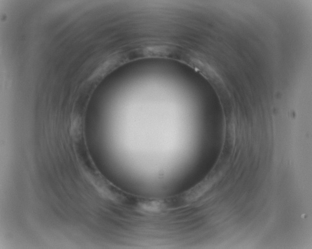 X0000081490079200701262104