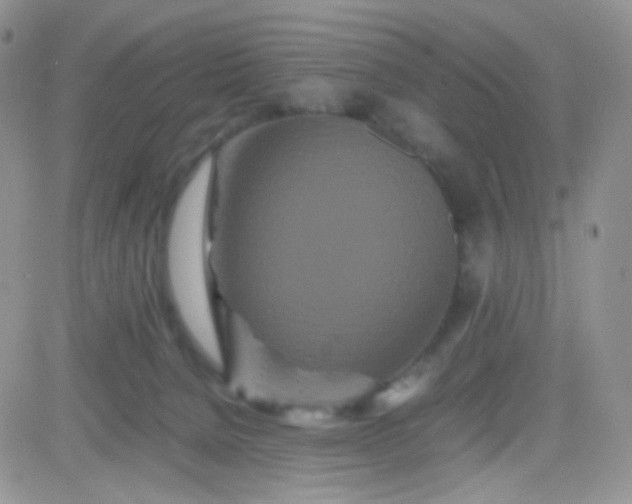 X0000081490080200701262104