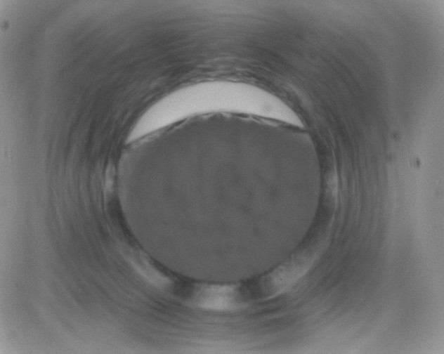 X0000081490081200701262104