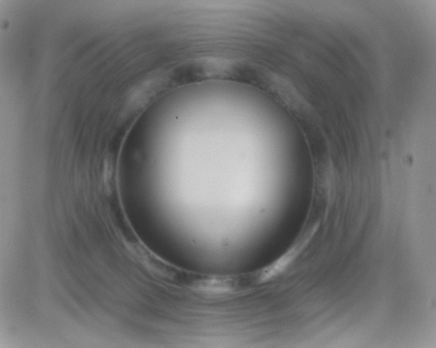 X0000081490082200701262104