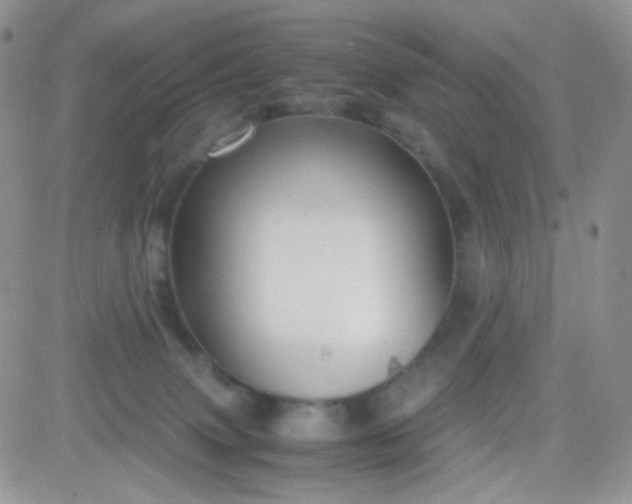 X0000081490083200701262104