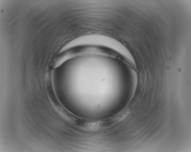 X0000081490084200701262104