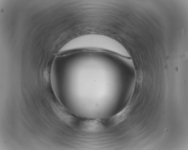 X0000081490086200701262104