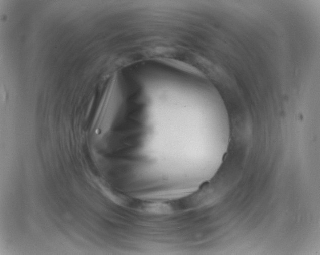 X0000081490087200701262104