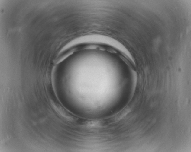 X0000081490088200701262104