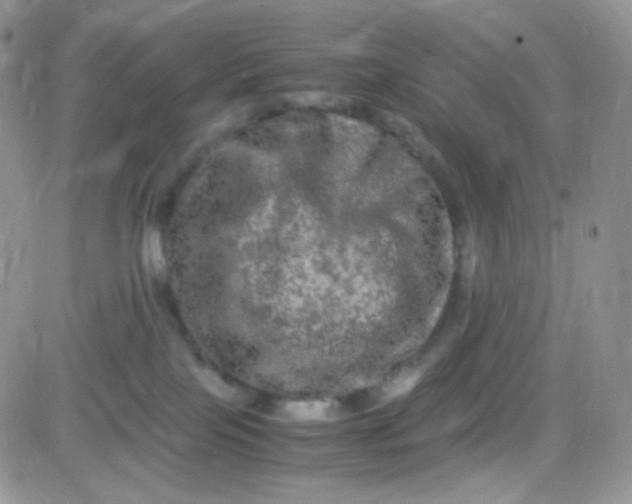 X0000081490089200701262104