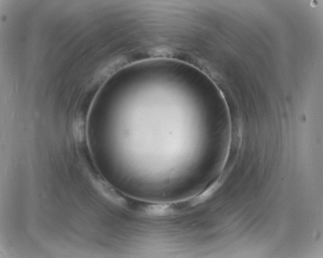 X0000081490090200701262104