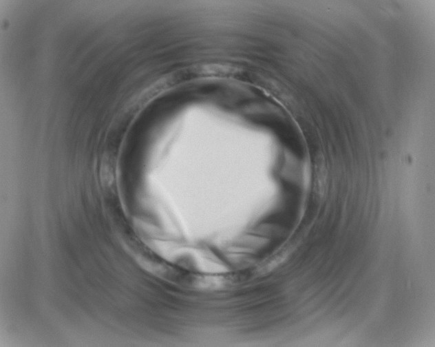 X0000081490091200701262104