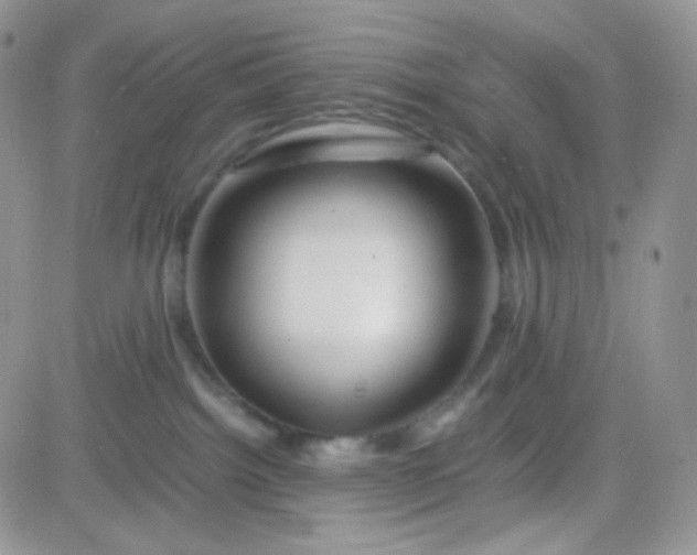 X0000081490092200701262104