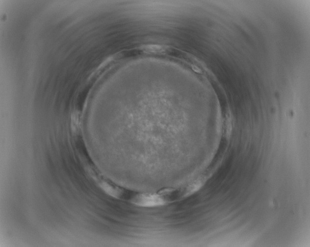 X0000081490093200701262104