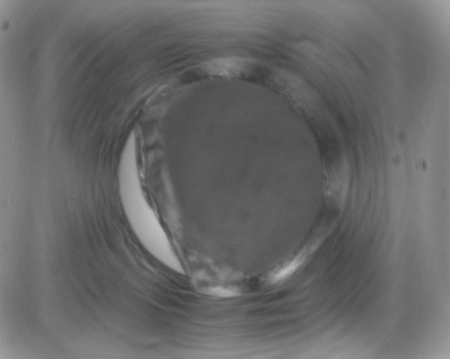 X0000081490095200701262104