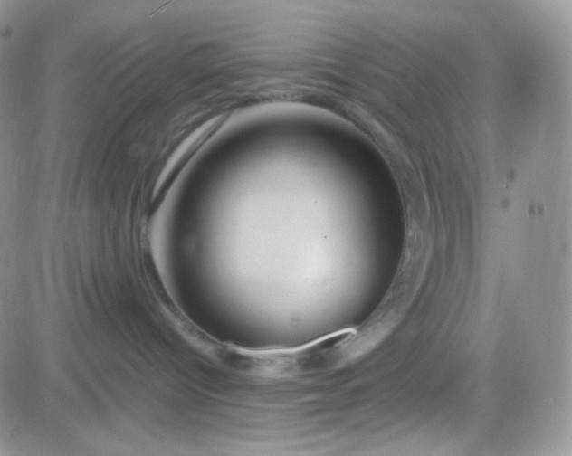 X0000081490096200701262104