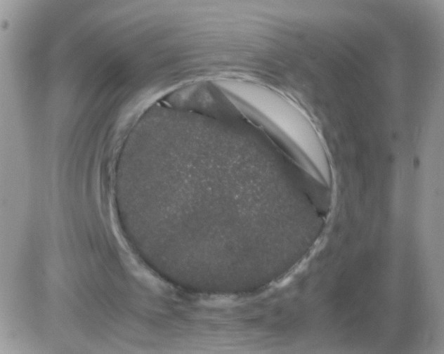 X0000081490097200701262104