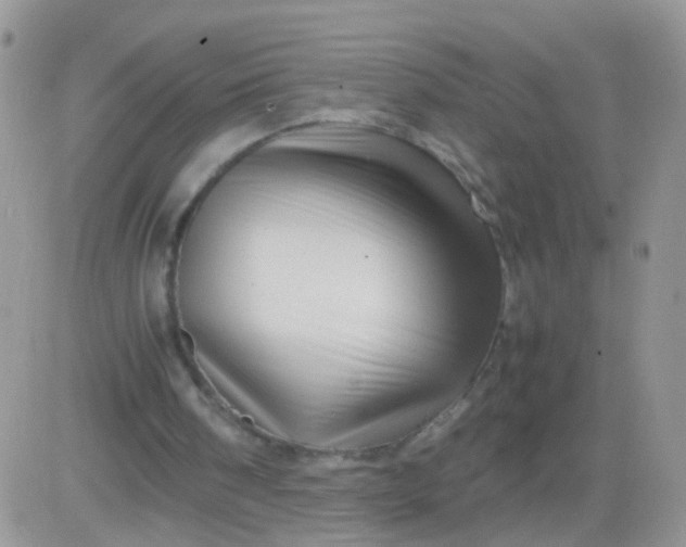 X0000081490098200701262104