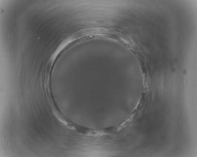 X0000081490099200701262104