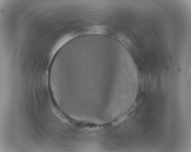 X0000081490100200701262104