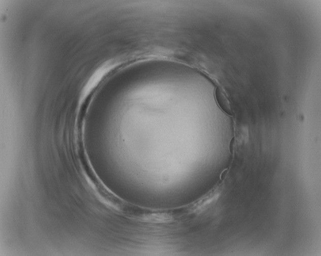 X0000081490102200701262104