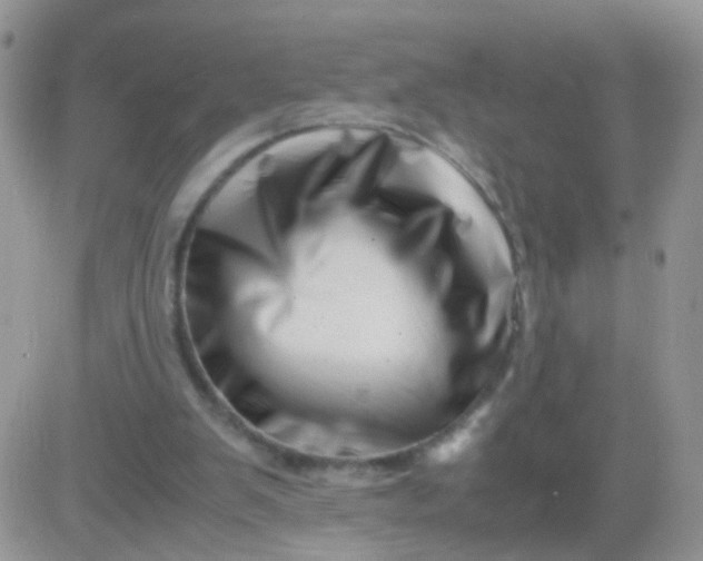 X0000081490103200701262104