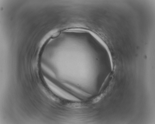 X0000081490104200701262104