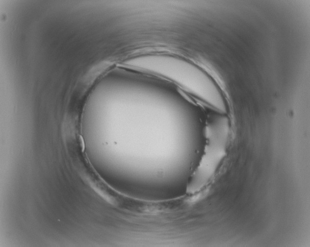 X0000081490105200701262104