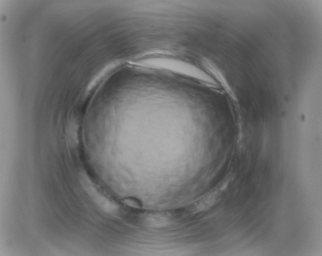 X0000081490106200701262104