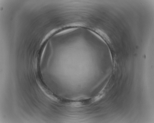 X0000081490108200701262104