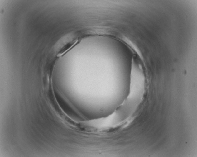 X0000081490109200701262103