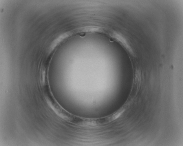 X0000081490110200701262103