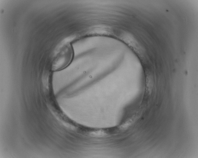 X0000081490112200701262103