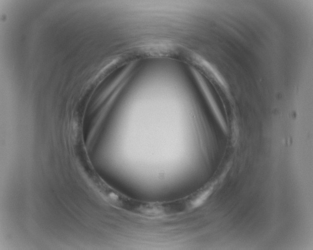 X0000081490113200701262103