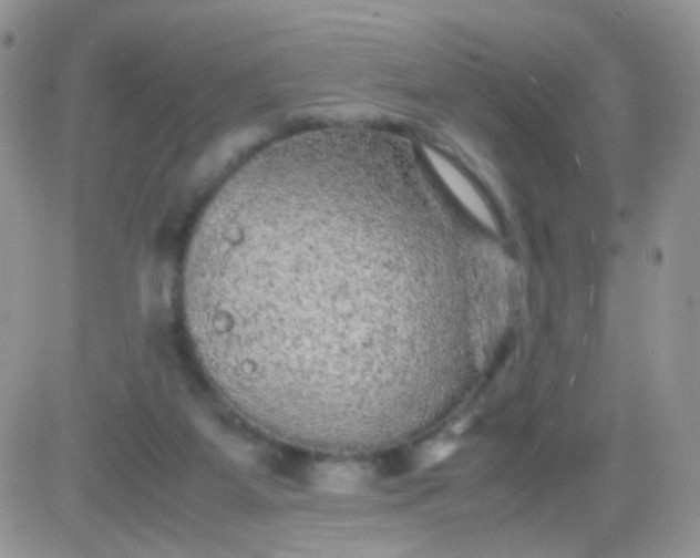 X0000081490115200701262103