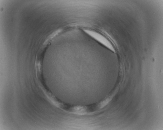 X0000081490117200701262103