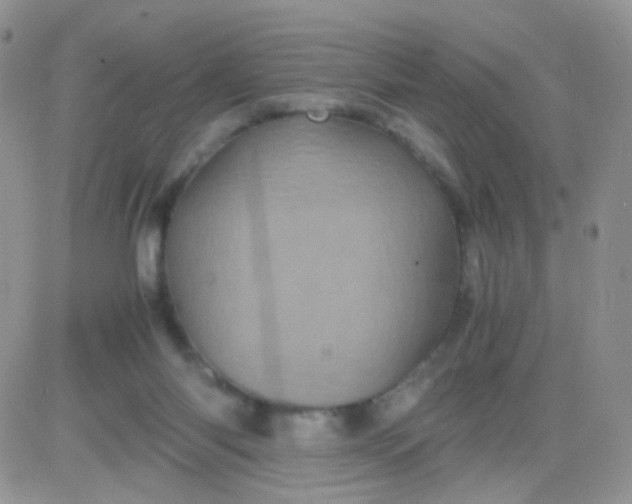 X0000081490118200701262103