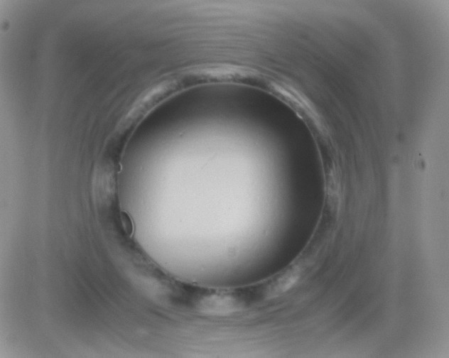 X0000081490119200701262103