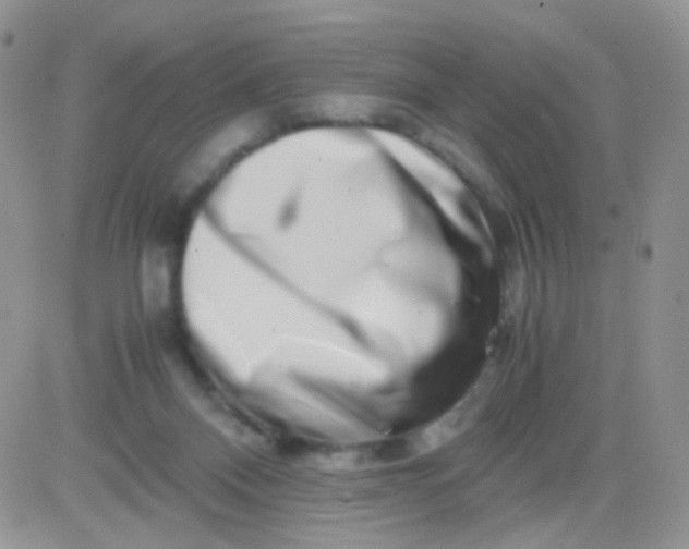 X0000081490120200701262103