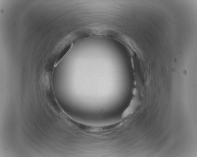 X0000081490121200701262103