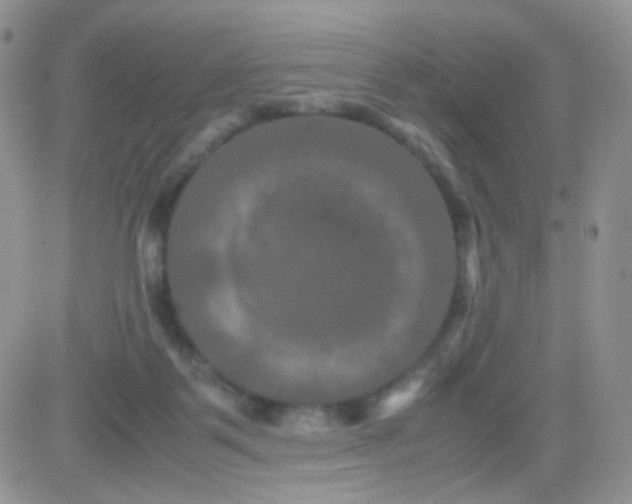 X0000081490123200701262103