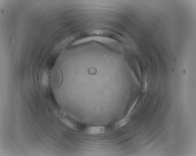 X0000081490126200701262103