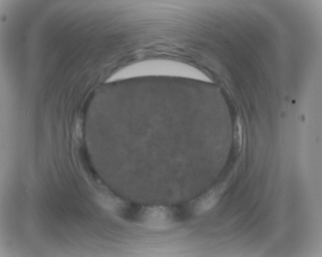 X0000081490127200701262103