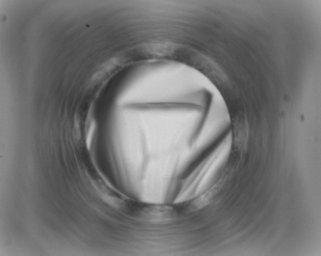 X0000081490128200701262103