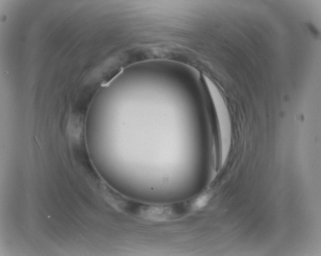 X0000081490129200701262103