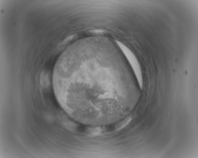 X0000081490131200701262103