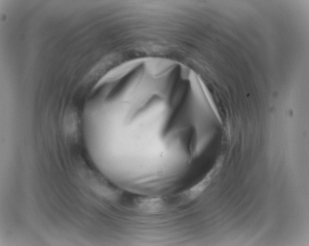 X0000081490132200701262103